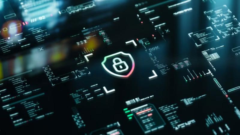 桓台县软件开发公司
